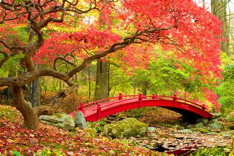 japan nature wallpaper